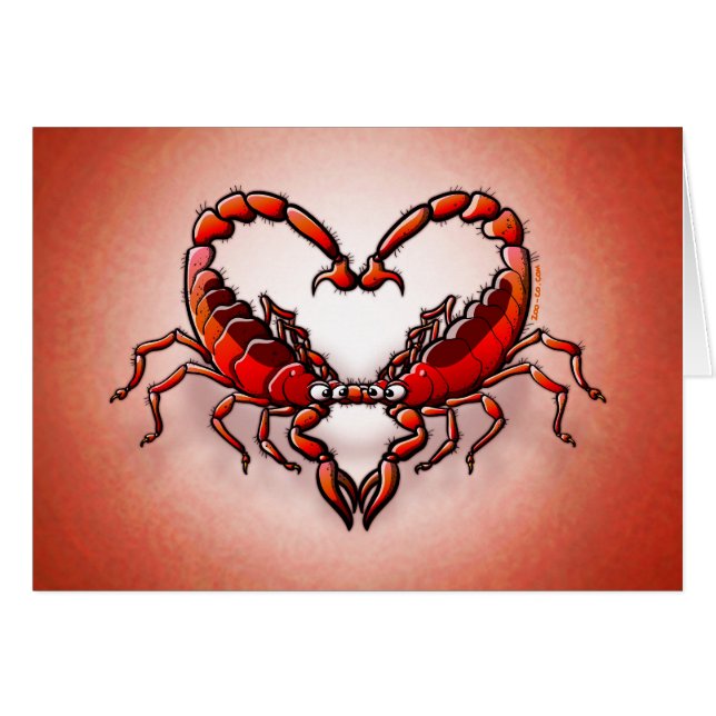 愛情のある蠍 (正面横)