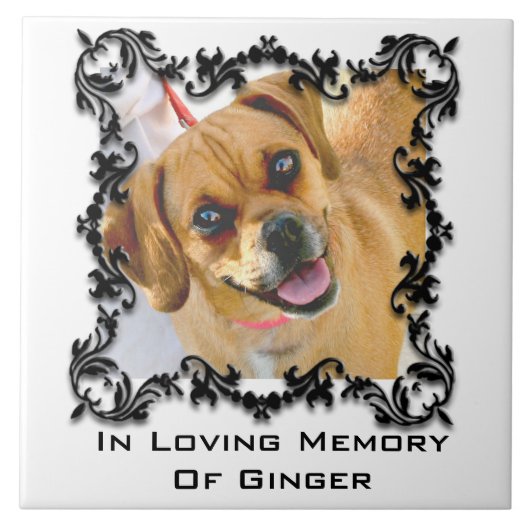 愛情のある記憶ペット記念の写真のセラミックタイル タイル (正面)