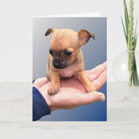 愛情のこもった手 カード (正面)