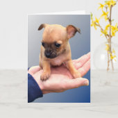 愛情のこもった手 カード (黄色い花)