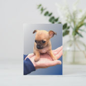 愛情のこもった手 ポストカード (スタンド正面)