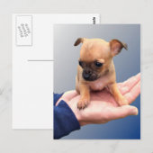 愛情のこもった手 ポストカード (正面/裏面)