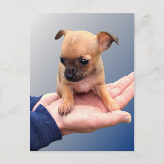 愛情のこもった手 ポストカード (正面)