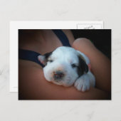 愛情のこもった抱擁 ポストカード (正面/裏面)