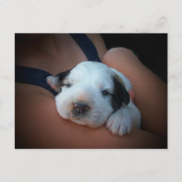 愛情のこもった抱擁 ポストカード