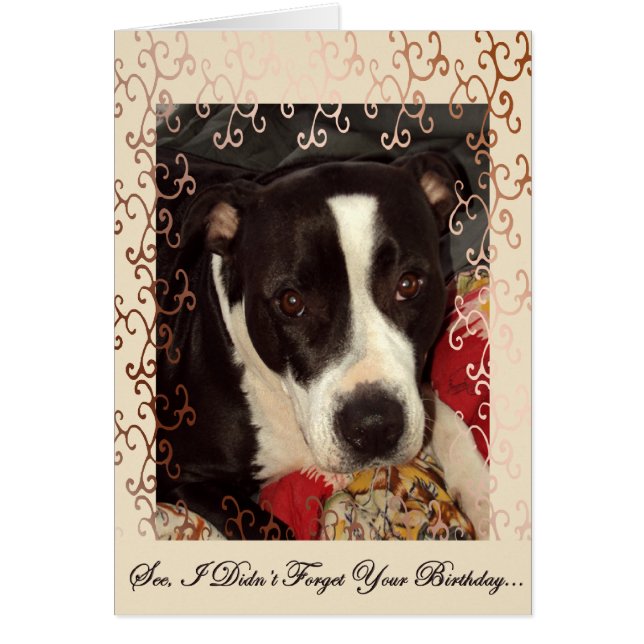 愛情のこもった目 (正面)