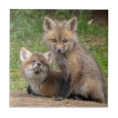 愛情のこもった目 タイル (正面)