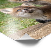 愛情のこもった目 フォトプリント            (角)