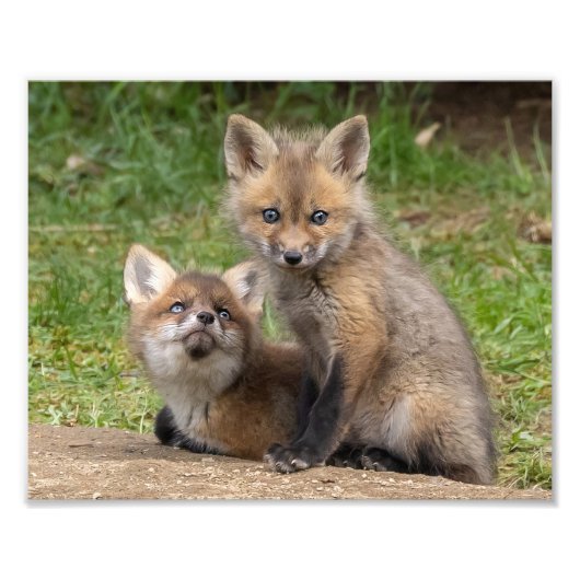 愛情のこもった目 フォトプリント            (正面)