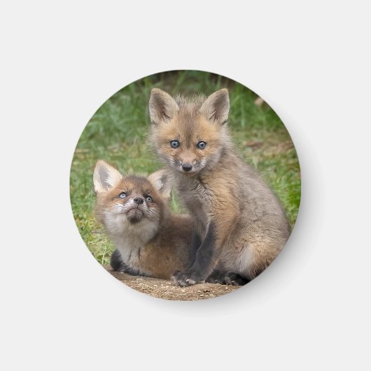 愛情のこもった目 マグネット (正面)