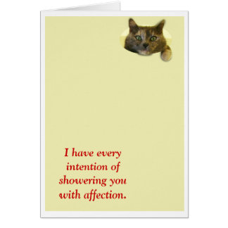 愛情のシャワー