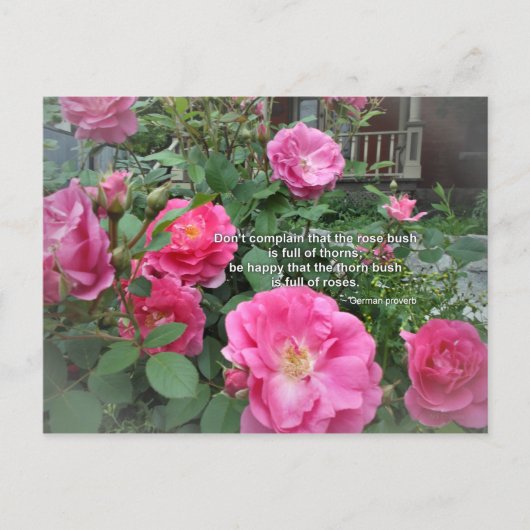 「愛情は茨の道から生まれる」ドイツのことわざ ポストカード (正面)
