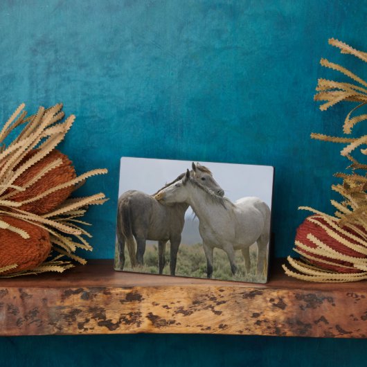 愛情を確かめる野生の馬 フォトプラーク (側面)