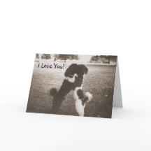 愛情挨拶カード