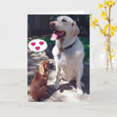 愛情挨拶カード(犬と) カード (黄色い花)