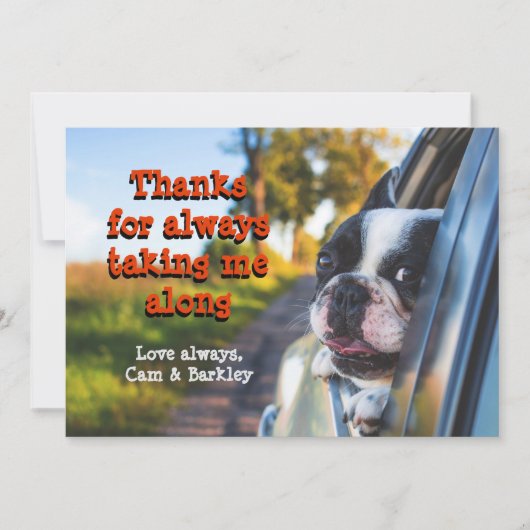 愛情挨拶カー感謝していドに乗る犬 カード (正面)