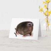 愛情深いバースデー・カード カード (黄色い花)