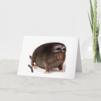 愛情深いバースデー・カード カード