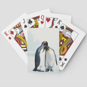 愛情深いペンギン2羽 トランプ