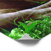 愛情深いライオン ポスター (角)