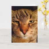 愛想おもしろいの悪い猫がん勇気付けられる カード (黄色い花)
