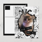 愛想のいい日を過ごす ポストカード (正面/裏面)