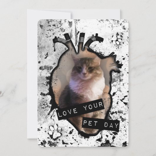 愛想のいい日を過ごす 招待状 (正面)