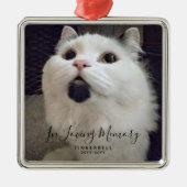 愛想の深い思い出の中のペットパーソナライズされた記念写真 メタルオーナメント (正面)