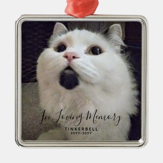 愛想の深い思い出の中のペットパーソナライズされた記念写真 メタルオーナメント (正面)