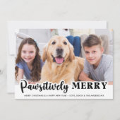 愛想メリー的にモダンカスタマイズペットの犬の写真 シーズンカード (正面)