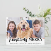 愛想メリー的にモダンカスタマイズペットの犬の写真 シーズンカード (スタンド正面)