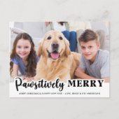 愛想メリー的にモダンカスタマイズペットの犬の写真 シーズンポストカード (正面)