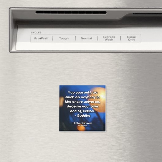 愛感動的愛磁石 マグネット (インサイチュ (食洗機))