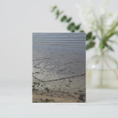 愛書の世界 ポストカード (スタンド正面)