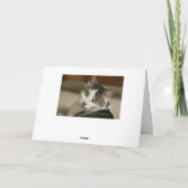 愛最後 シーズンカード (裏面)