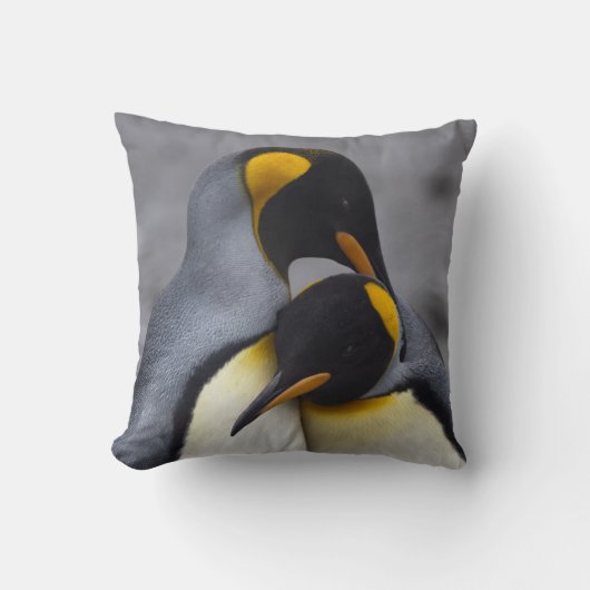 愛枕のキングペンギン クッション (正面)