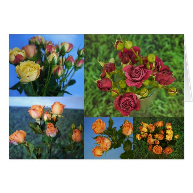 愛毎日カード (正面横)