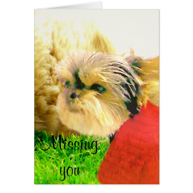 愛気にと犬_ (正面)