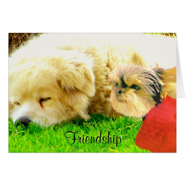 愛気にと犬_ (正面横)