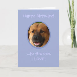 愛犬おもしろいから飼い主への誕生日 カード