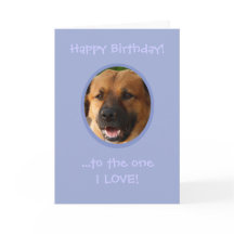 愛犬おもしろいから飼い主への誕生日