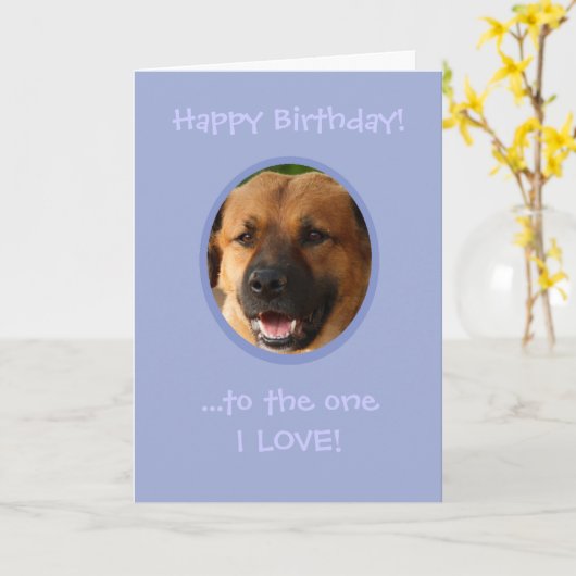 愛犬おもしろいから飼い主への誕生日 カード (黄色い花)