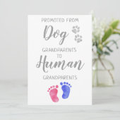 愛犬から新しい祖父母の妊娠が嬉しい 案内状 (スタンド正面)