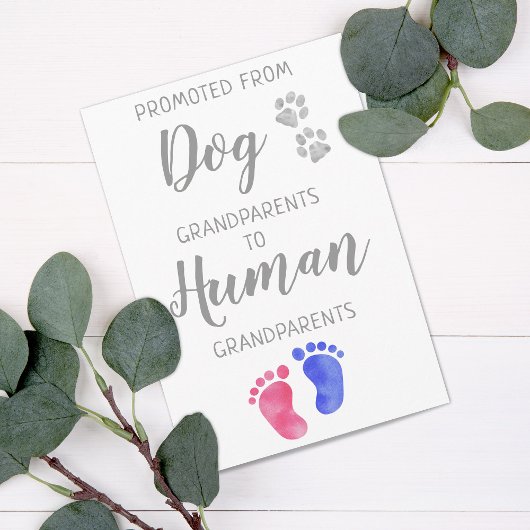 愛犬から新しい祖父母の妊娠が嬉しい 案内状