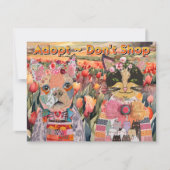 愛犬と猫がグリーティングカードを買わない 招待状 (正面)