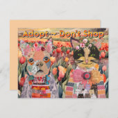 愛犬と猫がグリーティングカードを買わない 招待状 (正面/裏面)