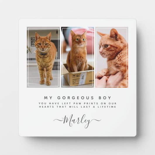 愛犬と猫のためのペットの損失贈り物3写真ペット記念碑 フォトプラーク (正面)