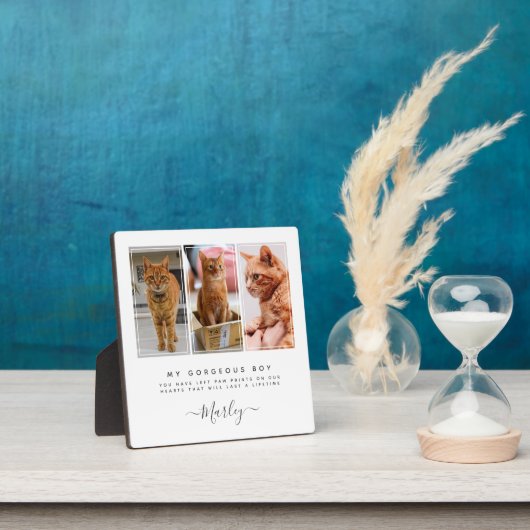 愛犬と猫のためのペットの損失贈り物3写真ペット記念碑 フォトプラーク (インサイチュ)