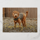 愛犬のお写真で作るネイビークリスマスカード 箔シーズンカード (正面)