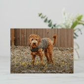 愛犬のお写真で作るネイビークリスマスカード 箔シーズンカード (立ち正面)